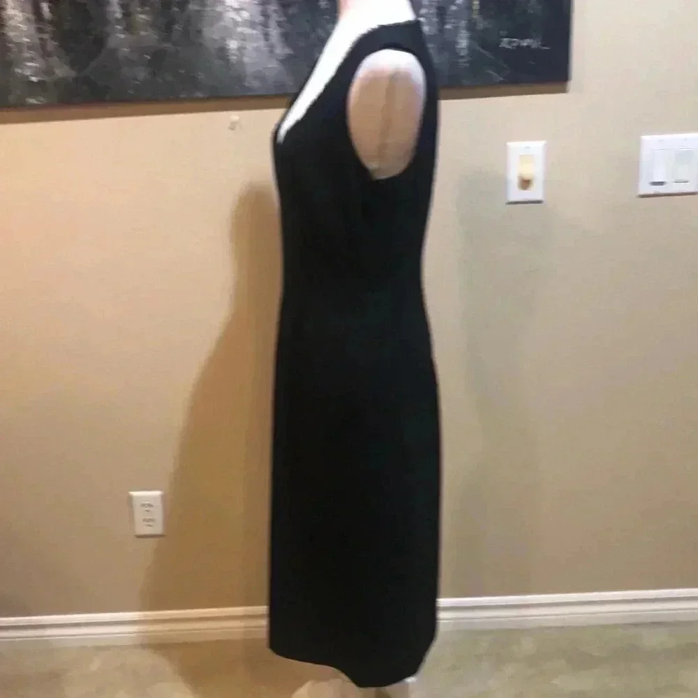 Tahari Sheer Outlined V-Neck Sheath Dress with Side Zipper and Back Slit-Size 6